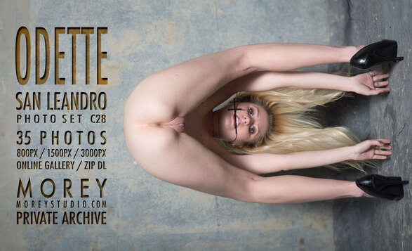 New gallery update erotic nude model photos by craig morey